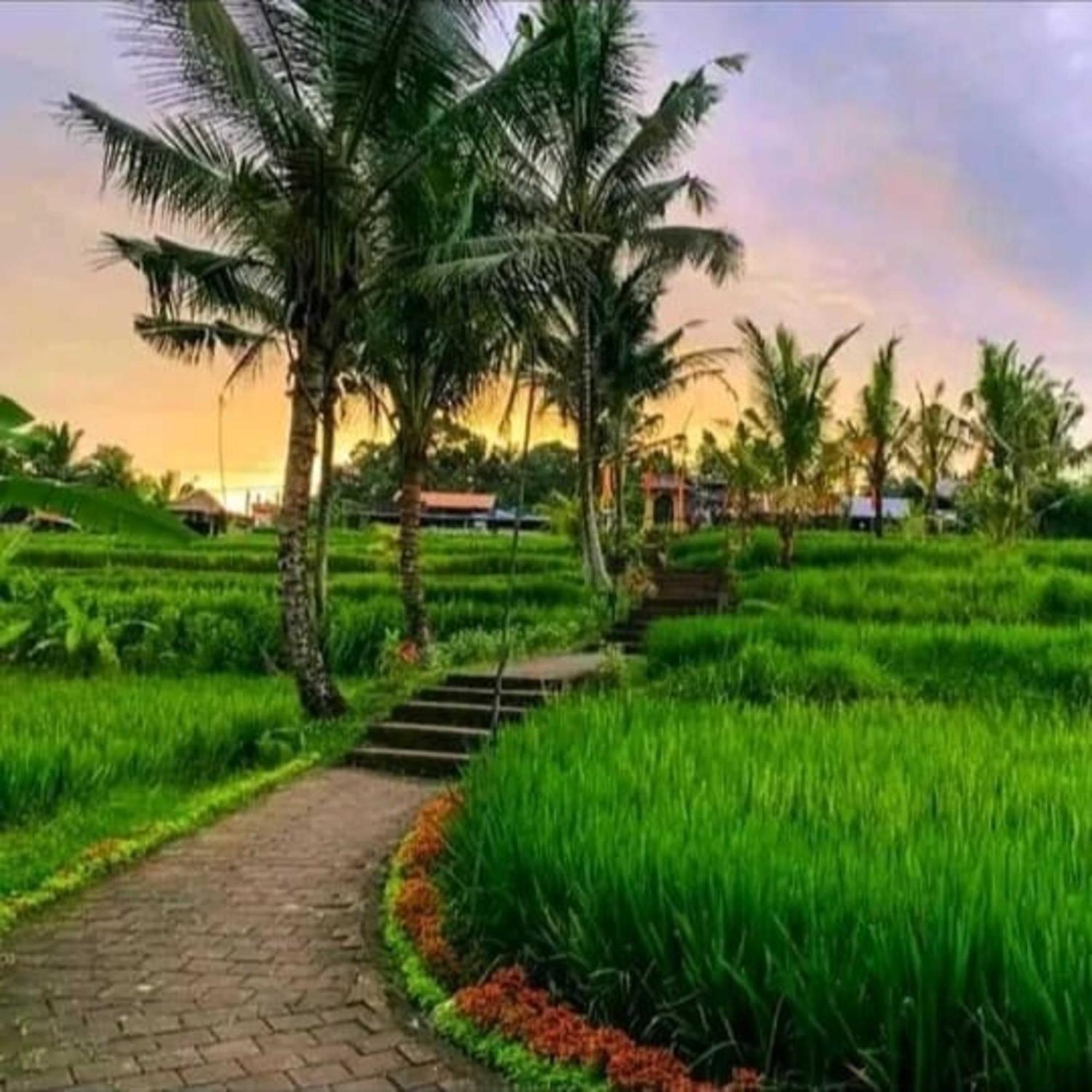 Pondok Kungkang Villa 2 Ubud Esterno foto